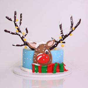 Tort Renul Rudolf