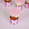 Colectie Mini Cupcakes Roz Botez-2