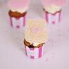 Colectie Mini Cupcakes Roz Botez-7